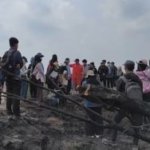 Tak Harus Tanam Pohon, 4 Cara Anak Muda Bisa Ikut Jaga Hutan dari Cabai hingga Cegah Karhutla