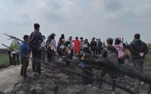 Tak Harus Tanam Pohon, 4 Cara Anak Muda Bisa Ikut Jaga Hutan dari Cabai hingga Cegah Karhutla