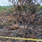 Kebakaran Kebun Sawit Muba Berujung Perkara, Mahasiswa 23 Tahun Jadi Tersangka