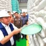 Stok Beras Sumsel Aman, Kenapa Harganya Tetap Perlu Diawasi?