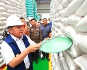 Stok Beras Sumsel Aman, Kenapa Harganya Tetap Perlu Diawasi?