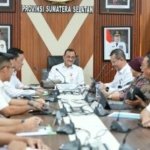 Sumsel Punya Potensi 66 Ribu Hektare untuk Ekstensifikasi Sawit, 3 Daerah Ini Terbesar