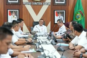 Sumsel Punya Potensi 66 Ribu Hektare untuk Ekstensifikasi Sawit, 3 Daerah Ini Terbesar