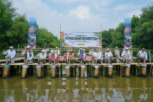 Kemenhut Kejar 12 Juta Hektare Lahan Kritis, Swasta hingga Carbon Trading Dilibatkan