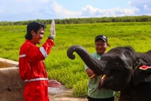 Gajah Sumatera Jadi Warisan Alam Sumsel, Kilang Plaju Konsisten Jaga Habitatnya