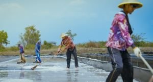 Jelang Swasembada 2027, KKP Benahi Data Garam dari Hulu
