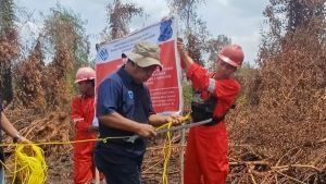 Kebakaran 454 Hektare di Konsesi PT Bintang Harapan Palma, KLH Dalami Penegakan Hukum