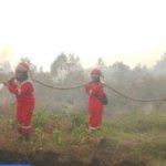 Hotspot Karhutla Nasional Naik Jadi 18.065 Titik, Sumsel-Riau-Jambi Justru Turun