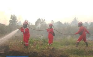 Hotspot Karhutla Nasional Naik Jadi 18.065 Titik, Sumsel-Riau-Jambi Justru Turun
