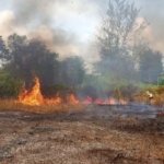 Karhutla Meluas, Kekeringan Berdampak pada 25.830 Warga Bandung