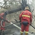 Mengapa Karhutla Sulit Dipadamkan? Begini Cara Petugas Mengendalikan Api di Hutan dan Lahan