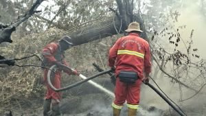 Mengapa Karhutla Sulit Dipadamkan? Begini Cara Petugas Mengendalikan Api di Hutan dan Lahan