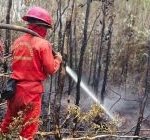 299 Manggala Agni Dikerahkan Hadapi Karhutla Sumsel, Bara Diburu, Penegakan Hukum Jalan