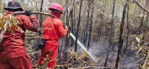 299 Manggala Agni Dikerahkan Hadapi Karhutla Sumsel, Bara Diburu, Penegakan Hukum Jalan