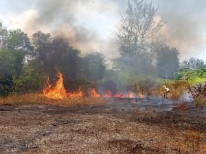 Karhutla Meluas, Kekeringan Berdampak pada 25.830 Warga Bandung