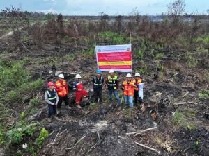 Karhutla Jadi Pintu Masuk, Kemenhut Ungkap Perkara Korporasi hingga Dugaan Jual-Beli Kawasan Hutan