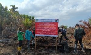 Karhutla Musi Banyuasin, Gakkum Telusuri Titik Awal Kebakaran 25 Hektare di Kebun Sawit dan Pinang