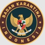 Komoditas Palu Dibidik Pasar Ekspor, Karding Ungkap Cara Siapkan Eksportir Baru