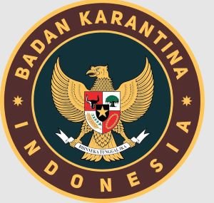 Komoditas Palu Dibidik Pasar Ekspor, Karding Ungkap Cara Siapkan Eksportir Baru