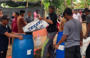 Dulu Dibiarkan, Daun Gamal Kini Jadi ‘Emas Hijau’ Peternak Probolinggo!