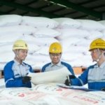 Stok Pupuk Pusri Tetap Aman di Tengah Kemarau, 141 Ribu Ton Disiapkan Saat Pola Tanam Berubah
