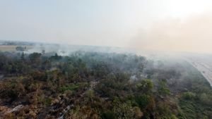Karhutla OKI Belum Usai, 5 Titik Api Masih Tersisa meski 15 Hektare Berhasil Dipadamkan