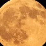 Malam Ini Jangan Cepat Tidur, Harvest Moon Muncul, Jam Segini Bulan Paling Menawan