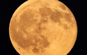 Malam Ini Jangan Cepat Tidur, Harvest Moon Muncul, Jam Segini Bulan Paling Menawan