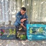Beli Burung di Facebook? Cek 3 Hal Ini Sebelum Transaksi