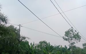 PM2.5 Palembang Tembus 409,2, Hotspot Sumsel Naik 38 Titik