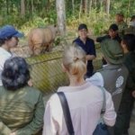 Kunjungi Way Kambas, Dubes Norwegia Tanya Soal Gajah, “Unchain?” Ini Jawab Menhut