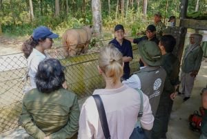 Kunjungi Way Kambas, Dubes Norwegia Tanya Soal Gajah, “Unchain?” Ini Jawab Menhut