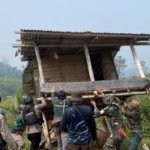Aksi Besar di Jalur Gajah Mukomuko, 627 Sawit Dibabat, Ranjau Ditemukan