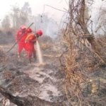 Hotspot Sumsel Mendadak Anjlok, Sehari Turun dari 285 Jadi 23