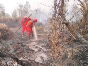 Hotspot Sumsel Mendadak Anjlok, Sehari Turun dari 285 Jadi 23