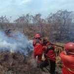 Hotspot Karhutla Sumsel Anjlok Jadi 11 Titik, Kalimantan Melonjak