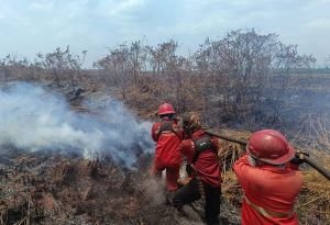 Hotspot Karhutla Sumsel Anjlok Jadi 11 Titik, Kalimantan Melonjak