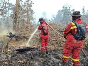 Hotspot Nasional Turun, Kok Sumsel Malah Naik Tajam? Ini yang Terjadi