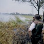 Karhutla Palembang Capai 297 Titik, 3 Wilayah Ini Paling Rawan, Apa Saja?