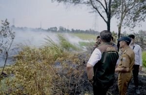 Karhutla Palembang Capai 297 Titik, 3 Wilayah Ini Paling Rawan, Apa Saja?