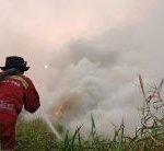 Hotspot Karhutla Naik, Tapi 2 Wilayah Ini Justru Turun Drastis