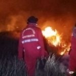 Hotspot Karhutla Kalteng Meledak, 1.035 Titik Muncul dalam Sehari