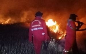 Hotspot Karhutla Kalteng Meledak, 1.035 Titik Muncul dalam Sehari