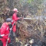 55 Armada Udara Dikerahkan Hadapi Karhutla Sumatera-Kalimantan, Ini Sasarannya