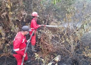 55 Armada Udara Dikerahkan Hadapi Karhutla Sumatera-Kalimantan, Ini Sasarannya