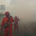 Hotspot Sumsel Anjlok Hampir Separuh, Kalteng-Kalbar Malah Bikin Pemerintah Waspada