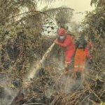 Sudah Hujan, Hotspot Sumsel Malah Melonjak Jadi 285 Titik