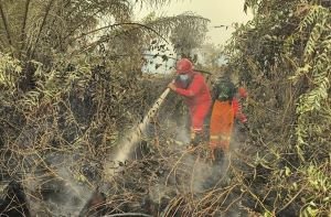 Sudah Hujan, Hotspot Sumsel Malah Melonjak Jadi 285 Titik