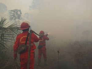 Hotspot Sumsel Anjlok Hampir Separuh, Kalteng-Kalbar Malah Bikin Pemerintah Waspada