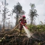 Hotspot Sumsel Turun Jadi 29, Tapi Masih Nomor 2 di 6 Provinsi